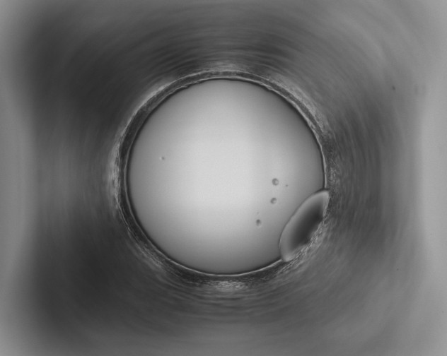 X0000103131119200809051603