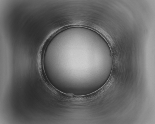 X0000103131120200809051603