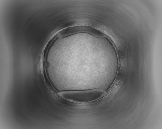 X0000103131124200809051603