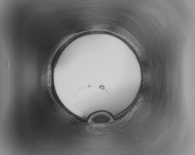 X0000103131126200809051603