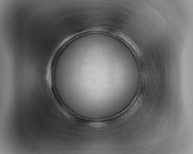 X0000103131127200809051603