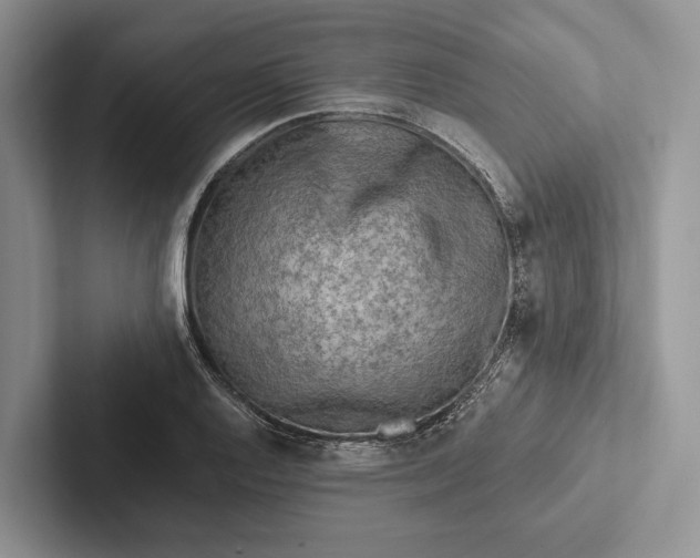 X0000103131128200809051603