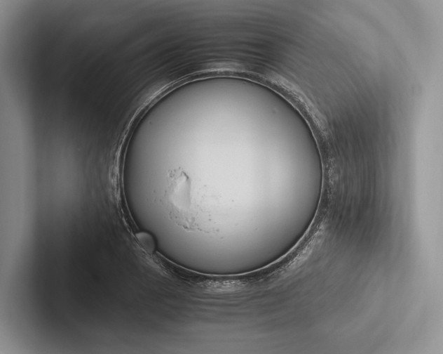X0000103131129200809051603