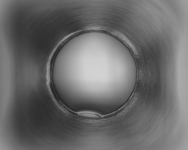 X0000103131132200809051603