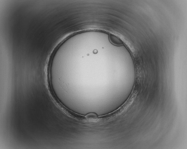 X0000103131134200809051603