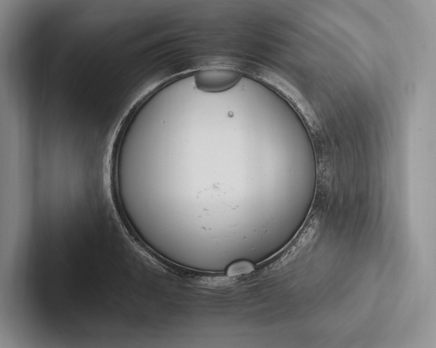 X0000103131135200809051603