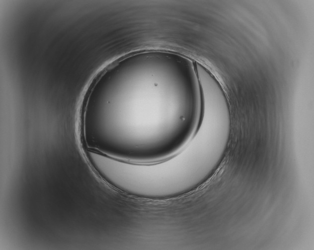 X0000103131136200809051603