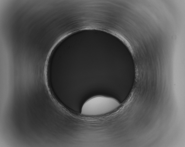 X0000103131138200809051603