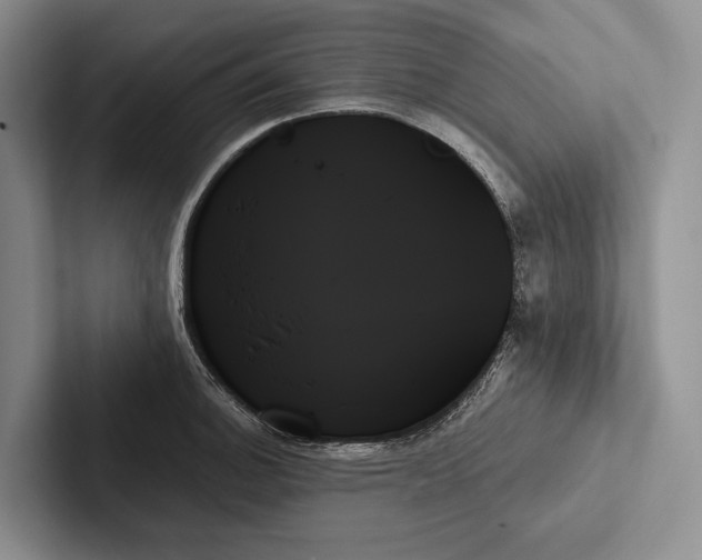 X0000103131140200809051603