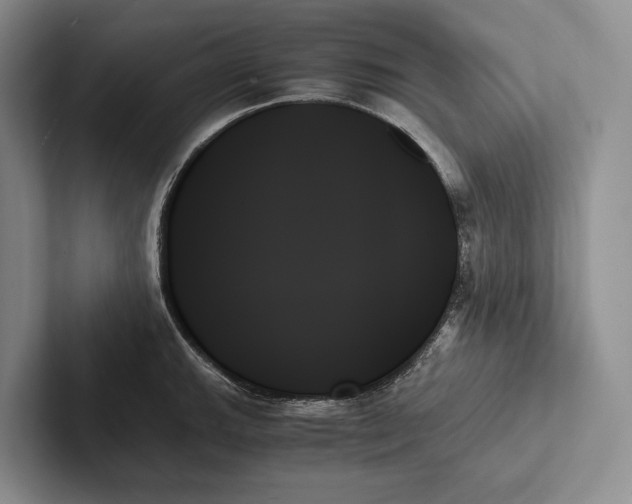 X0000103131143200809051603