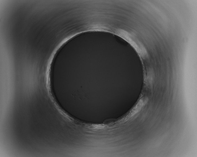 X0000103131144200809051603