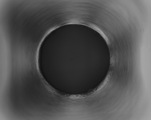 X0000103131146200809051603