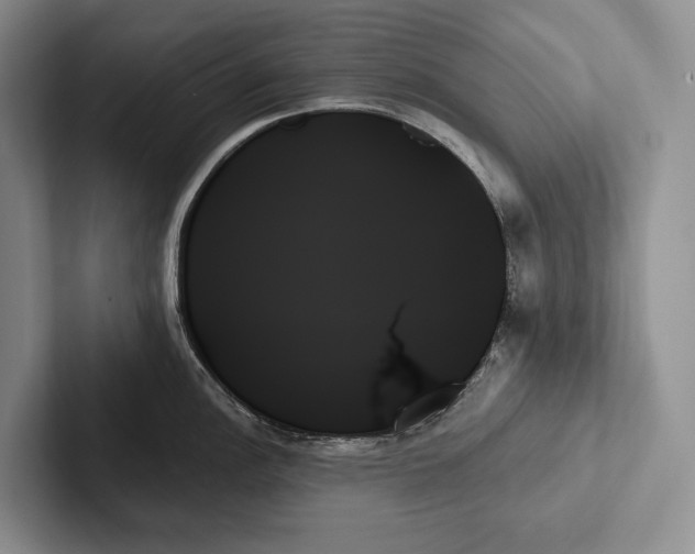 X0000103131148200809051603
