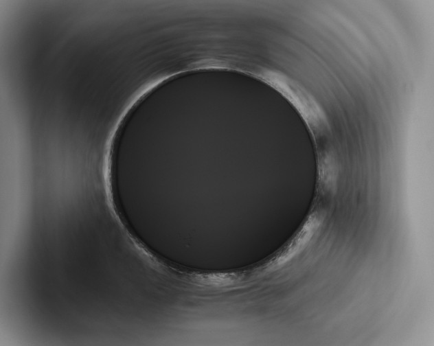 X0000103131149200809051603