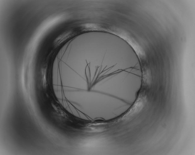 X0000103131150200809051603