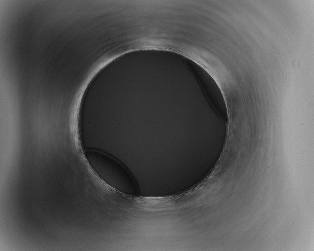 X0000103131152200809051603