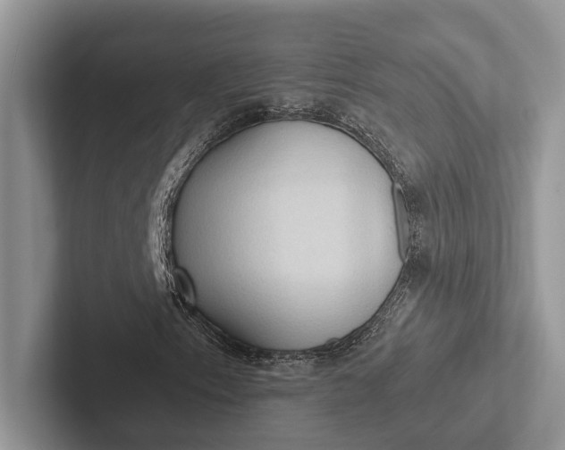 X0000103131153200809051603
