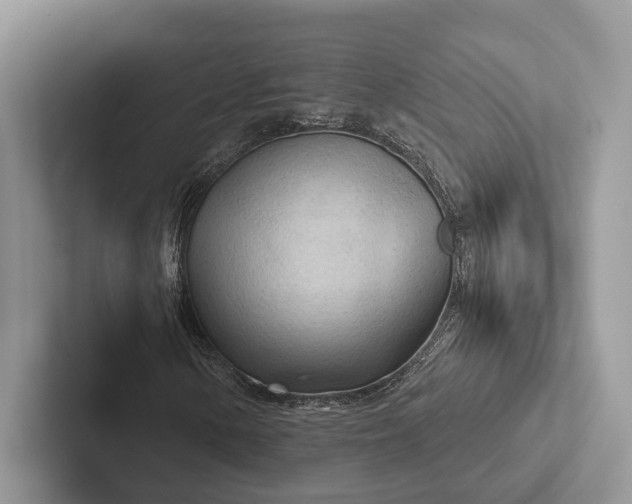 X0000103131154200809051603