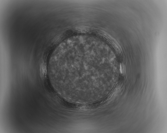 X0000103131155200809051603