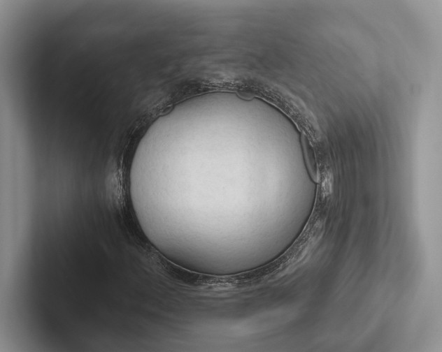 X0000103131156200809051603