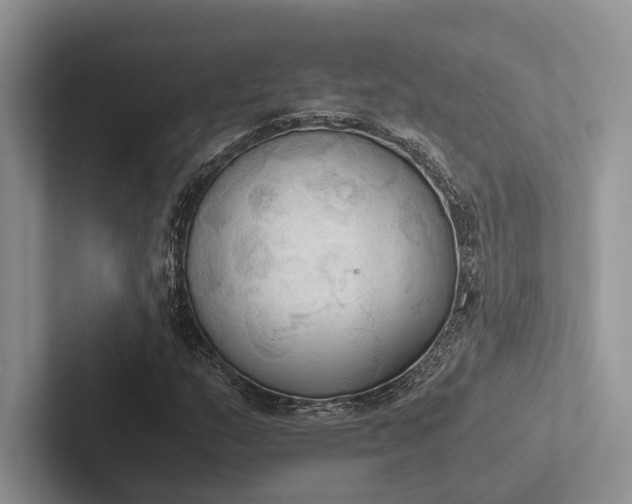 X0000103131159200809051603