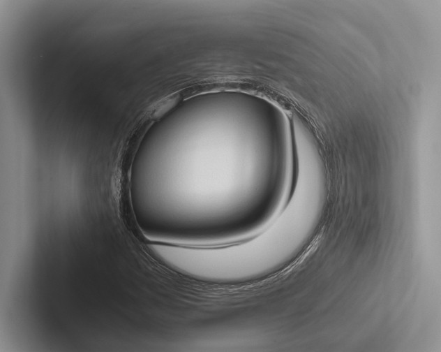 X0000103131161200809051603