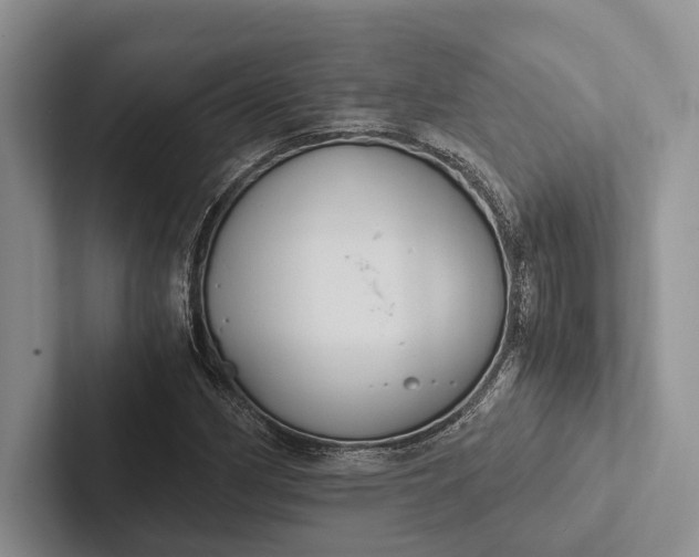 X0000103131162200809051603