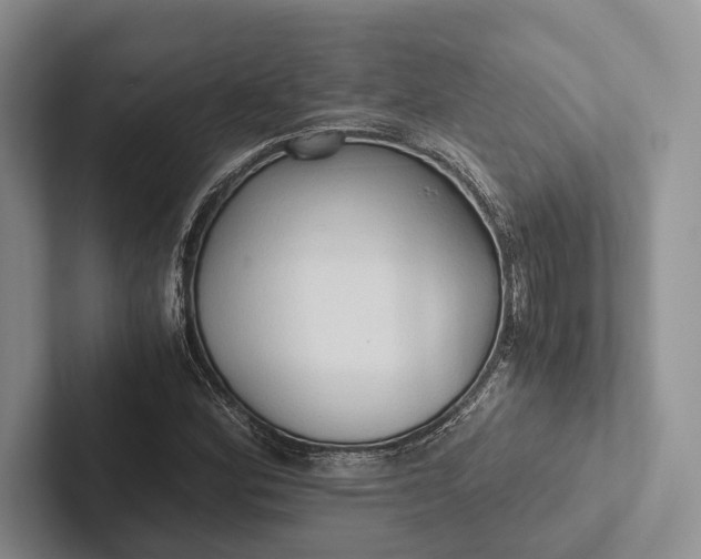 X0000103131164200809051603