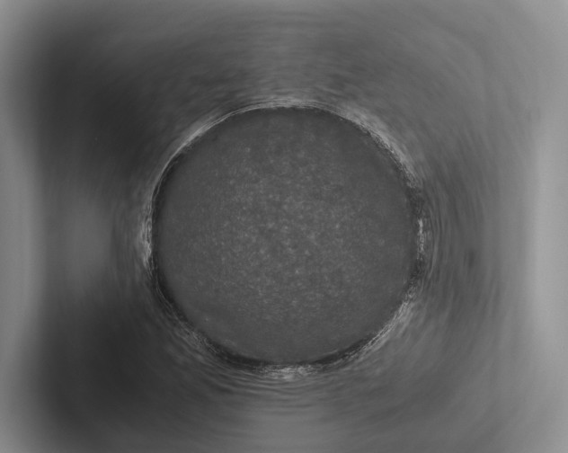 X0000103131165200809051603