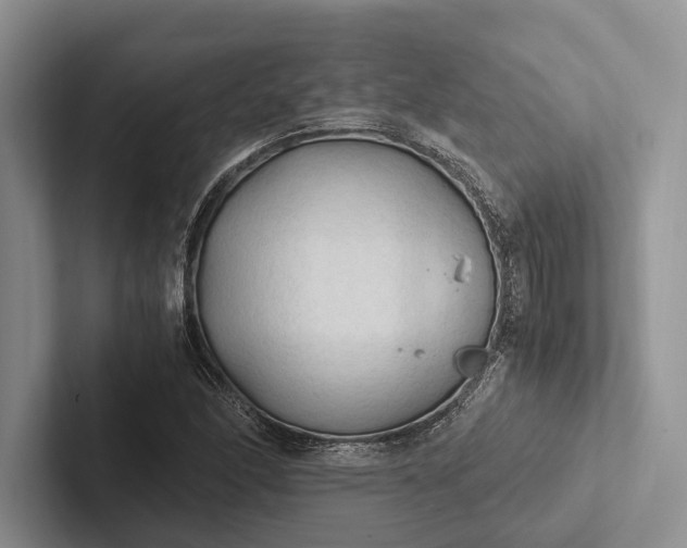 X0000103131166200809051603