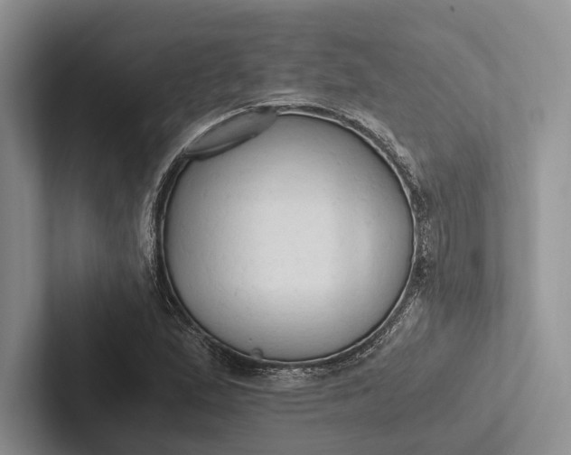 X0000103131167200809051603