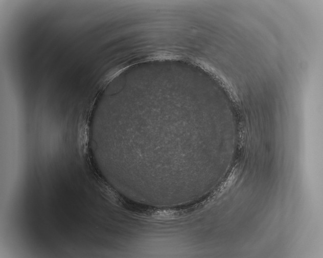 X0000103131169200809051603