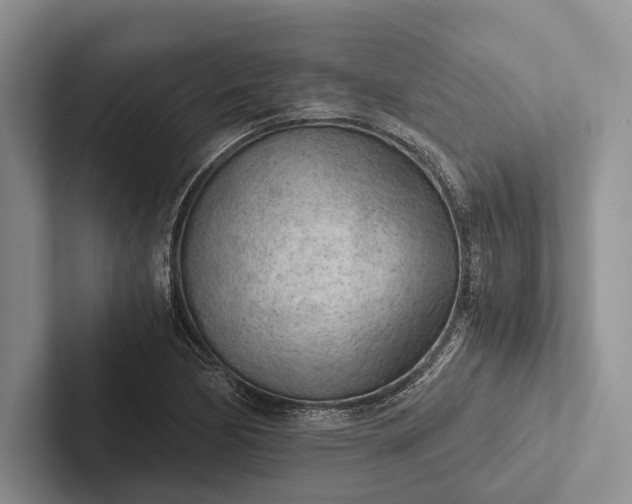 X0000103131170200809051603