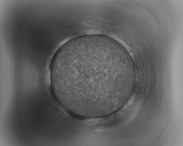 X0000103131171200809051603