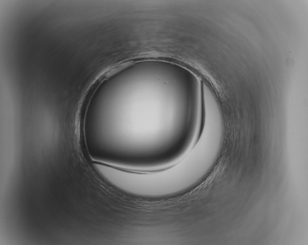 X0000103131173200809051603