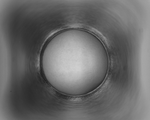 X0000103131174200809051602