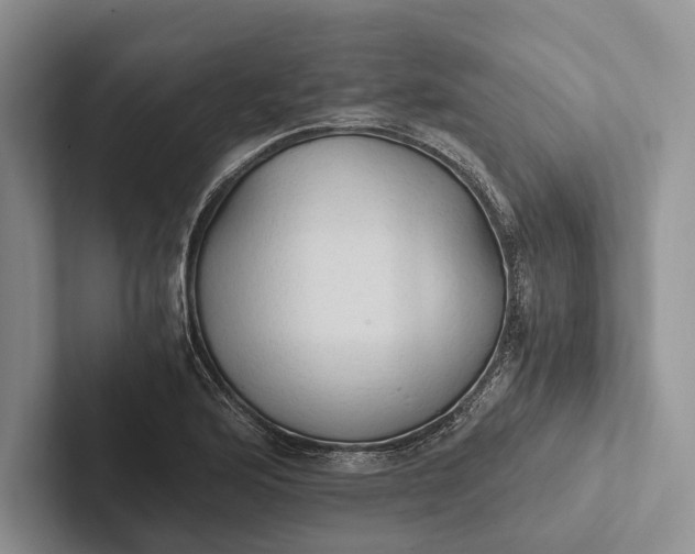 X0000103131176200809051602