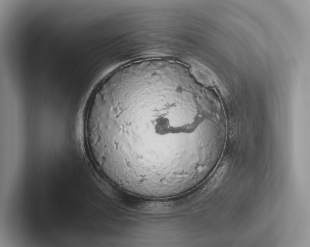 X0000103131179200809051602