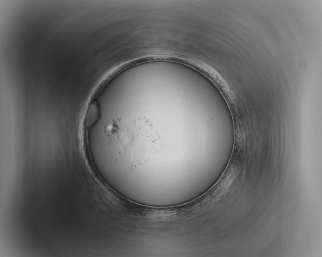 X0000103131183200809051602