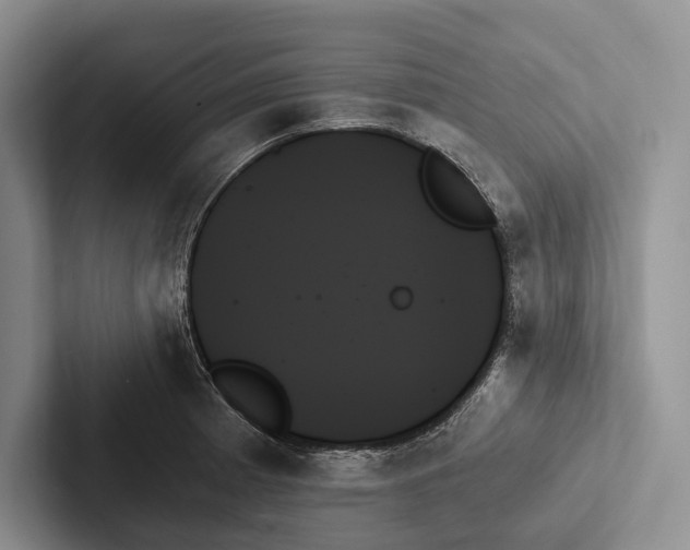 X0000103131185200809051602