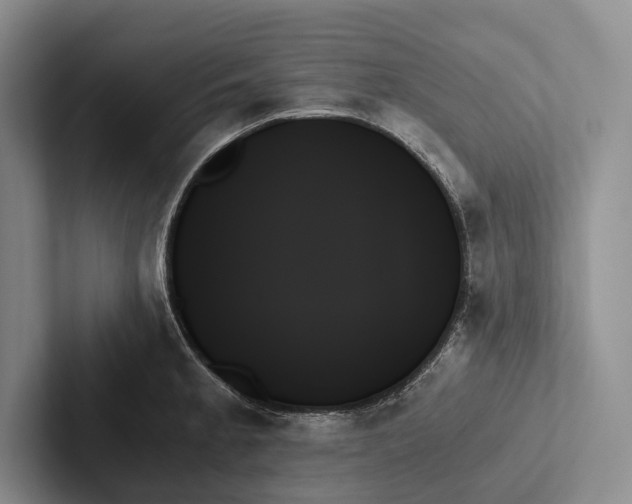 X0000103131189200809051602