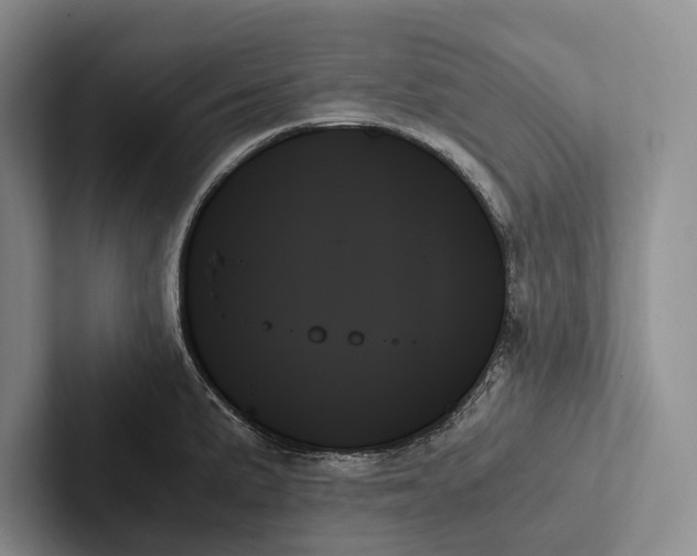 X0000103131191200809051602