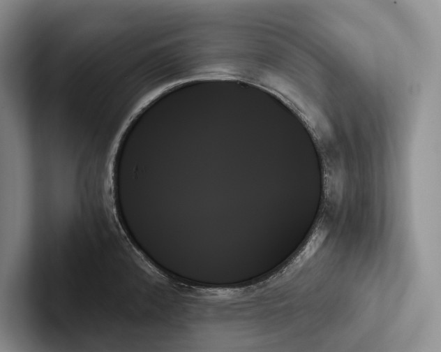 X0000103131192200809051602