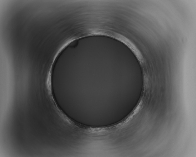 X0000103131198200809051602