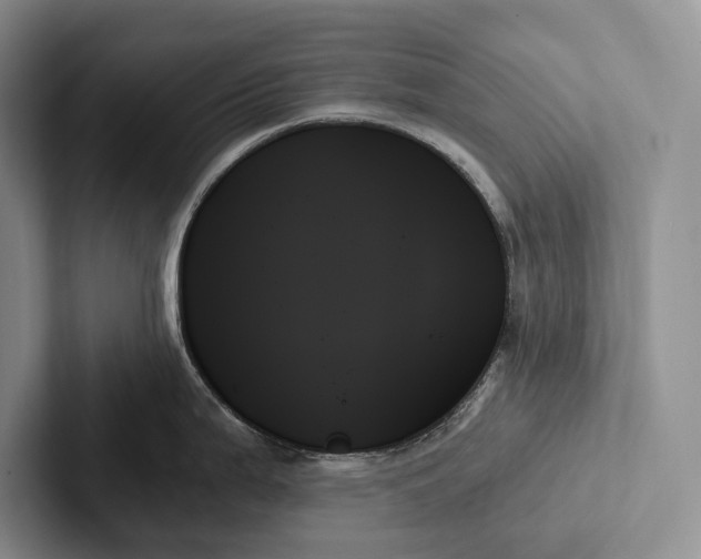 X0000103131199200809051602