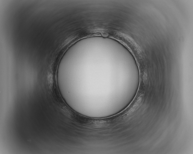 X0000103131209200809051602