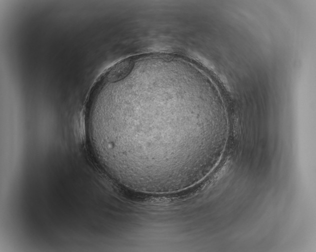 X0000103131214200809051602