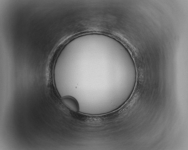 X0000103131215200809051602