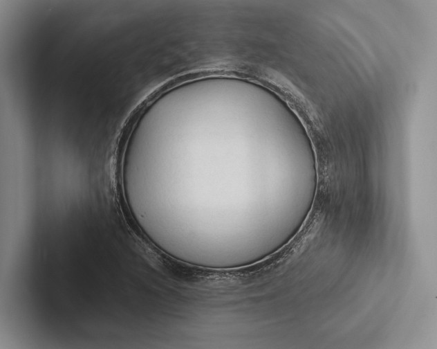 X0000103131216200809051602