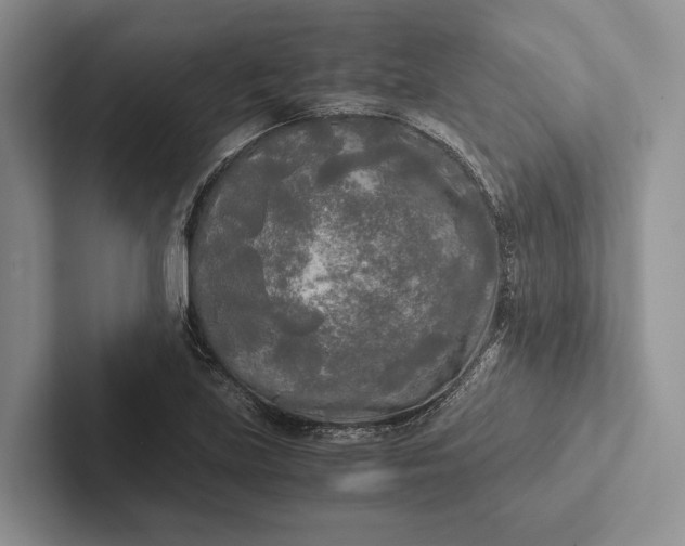 X0000103131219200809051602